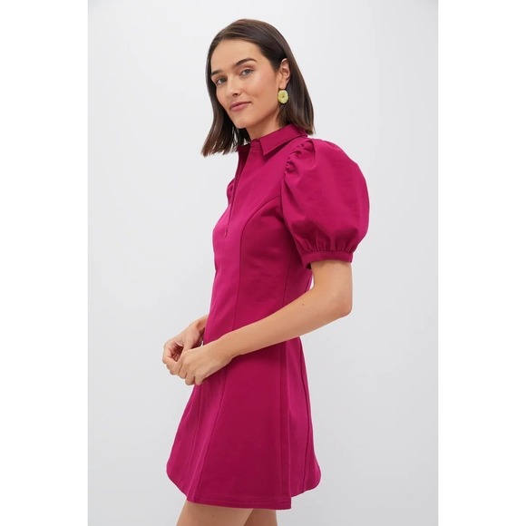 Tuckernuck HYACINTH HOUSE Raspberry Front Zip Denim Mini Dress size S NWT Tuckernuck HYACINTH HOUSE Raspberry Front Zip Denim Mini Dress size S NWT